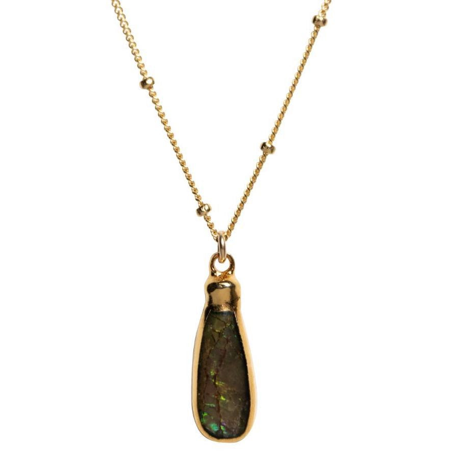 LUX Ammonite Teardrop Necklace