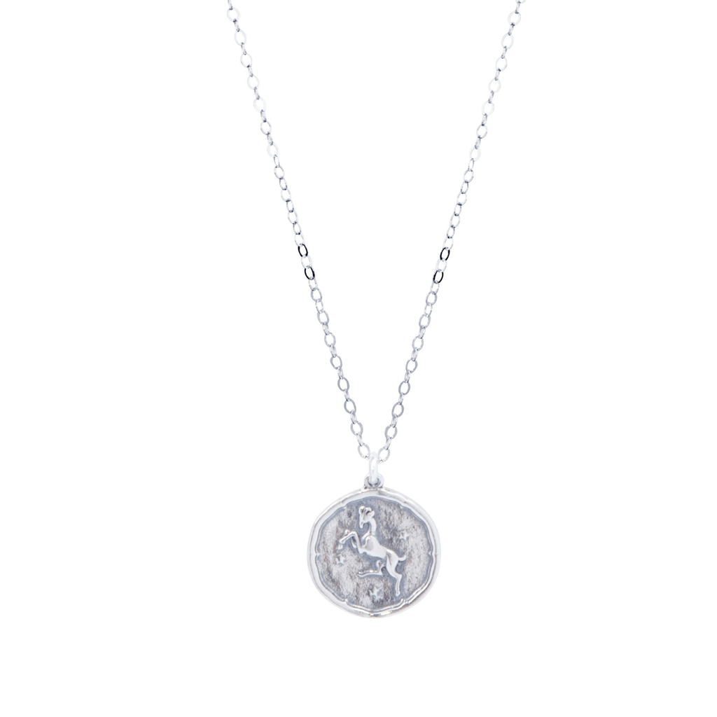 Aries Zodiac Necklace in Silver-Necklaces-Waffles & Honey Jewelry-Waffles & Honey Jewelry